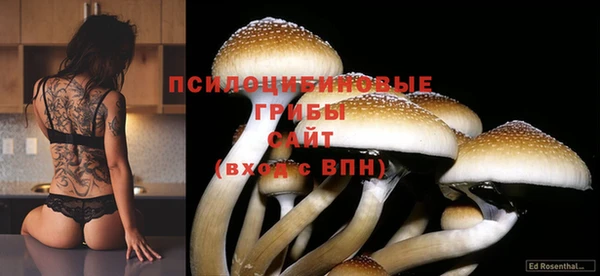 соль ск Алексеевка