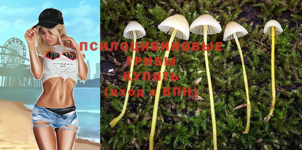 соль ск Алексеевка