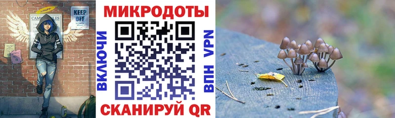 Псилоцибиновые грибы мицелий Купить Татарск